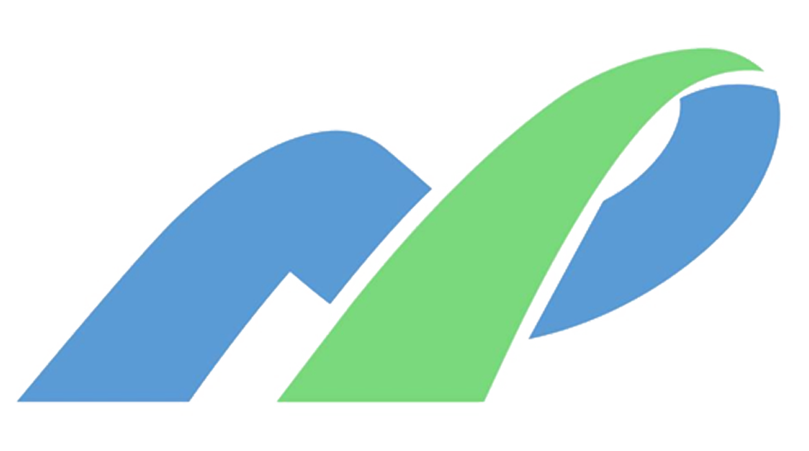 New Paradigm Consulting PLC logo